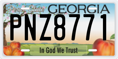 GA license plate PNZ8771