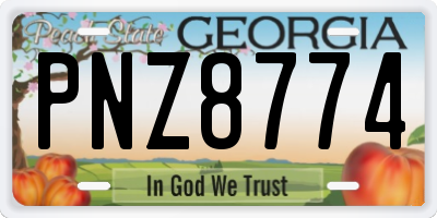 GA license plate PNZ8774