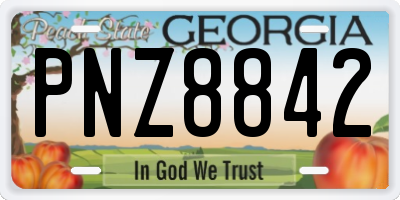 GA license plate PNZ8842
