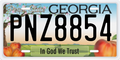 GA license plate PNZ8854
