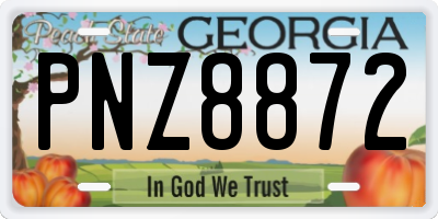 GA license plate PNZ8872
