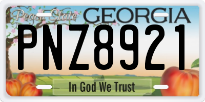 GA license plate PNZ8921