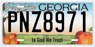 GA license plate PNZ8971