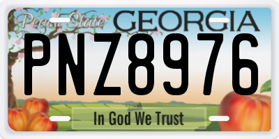 GA license plate PNZ8976