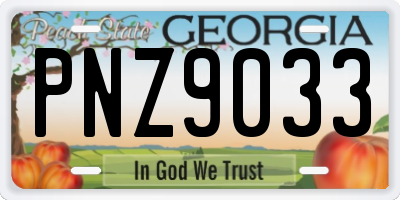 GA license plate PNZ9033