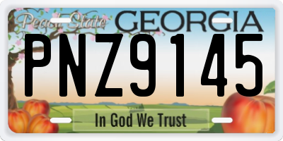 GA license plate PNZ9145