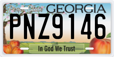 GA license plate PNZ9146
