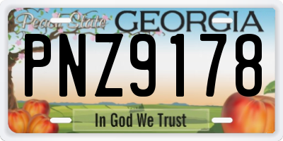 GA license plate PNZ9178