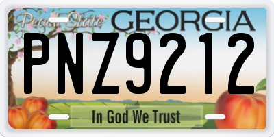 GA license plate PNZ9212