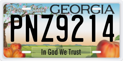 GA license plate PNZ9214