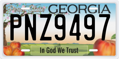 GA license plate PNZ9497