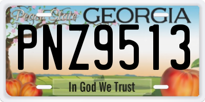 GA license plate PNZ9513