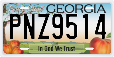 GA license plate PNZ9514