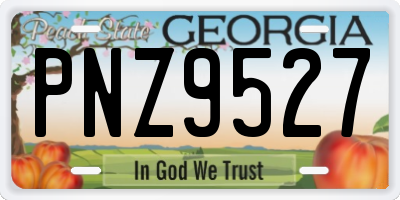 GA license plate PNZ9527