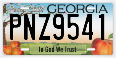 GA license plate PNZ9541