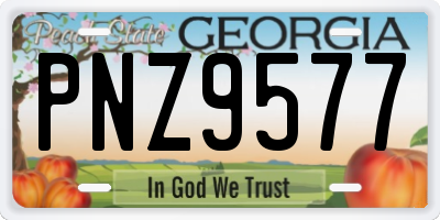 GA license plate PNZ9577