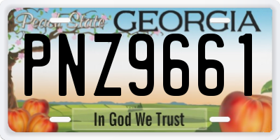 GA license plate PNZ9661