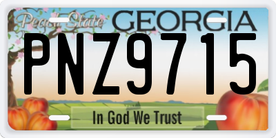 GA license plate PNZ9715