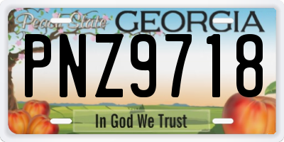 GA license plate PNZ9718