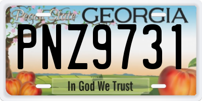 GA license plate PNZ9731