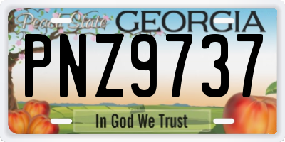 GA license plate PNZ9737
