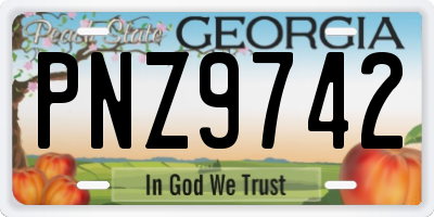 GA license plate PNZ9742