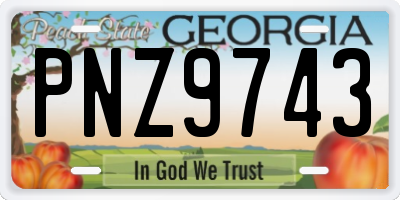 GA license plate PNZ9743