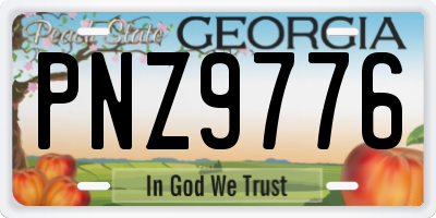 GA license plate PNZ9776