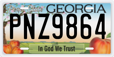 GA license plate PNZ9864