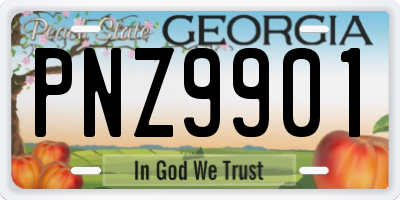GA license plate PNZ9901