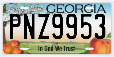 GA license plate PNZ9953