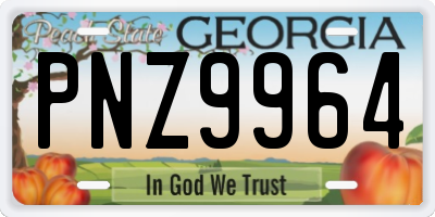 GA license plate PNZ9964