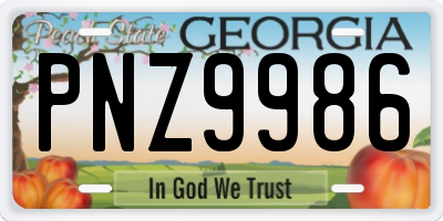 GA license plate PNZ9986