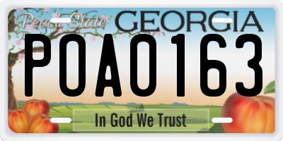 GA license plate POA0163