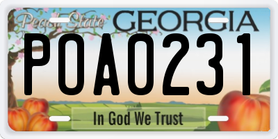 GA license plate POA0231