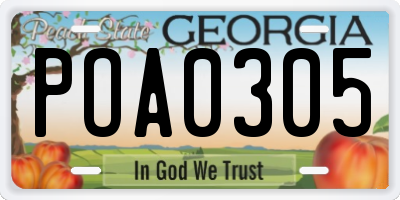 GA license plate POA0305