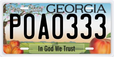 GA license plate POA0333