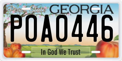 GA license plate POA0446