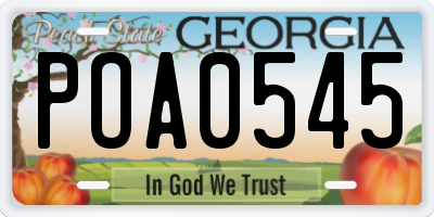 GA license plate POA0545