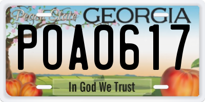 GA license plate POA0617