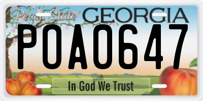 GA license plate POA0647