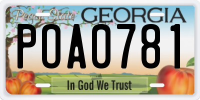 GA license plate POA0781