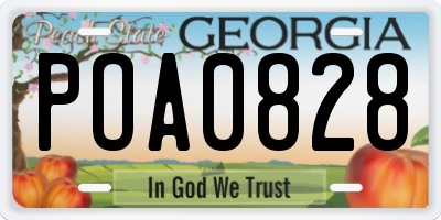 GA license plate POA0828