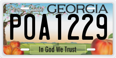 GA license plate POA1229