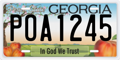 GA license plate POA1245