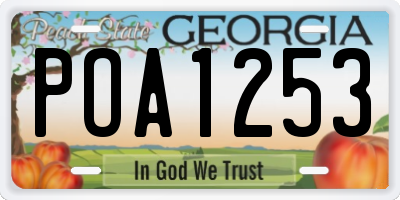 GA license plate POA1253