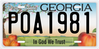 GA license plate POA1981