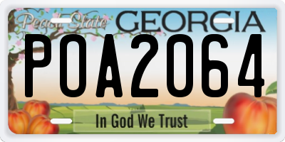 GA license plate POA2064