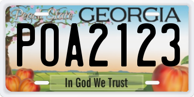 GA license plate POA2123