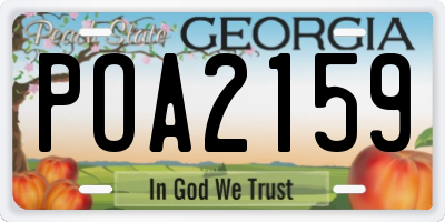 GA license plate POA2159